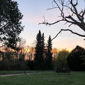 Ferienwohnung Apartment Doppelzimmer In Der Villa Naturpark Rheinblick, Ruhig, Aussicht, Pool